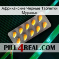 Африканские Черные Таблетки Муравья cialis1